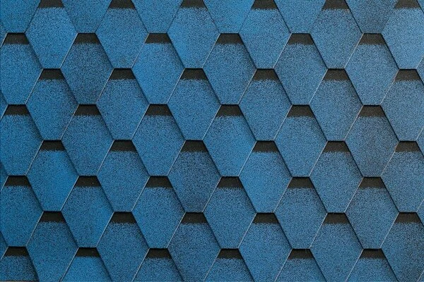 сальса_жимолость.YTgdz