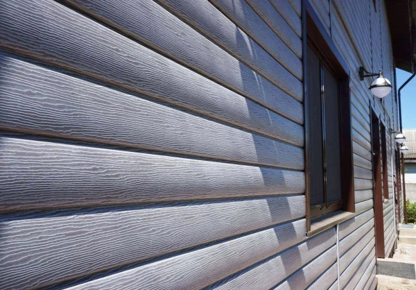 дуб серебристый