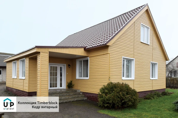 кедр янтарный