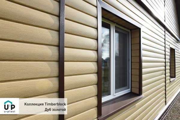 дуб золотой