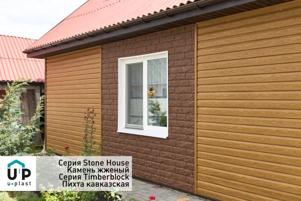 пихта кавказская