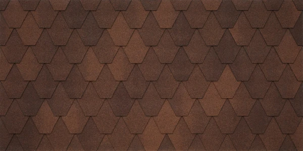 SARDEGNA_liberica_020