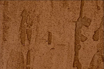 Фиброцементный сайдинг БЕТЭКО Вудрок (Короед) Палево-коричневый RAL8007