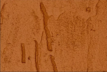 Фиброцементный сайдинг БЕТЭКО Вудрок (Короед) Оранжево-коричневый RAL8023